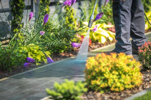 Best Gutter Cleaning  in Staples, CT